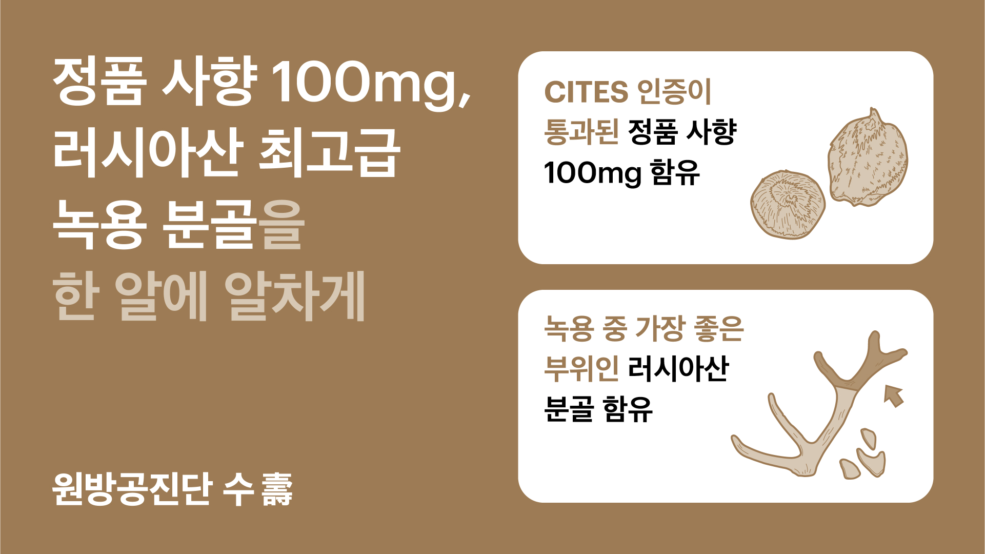 원방공진단 수(壽) 상세 이미지 2