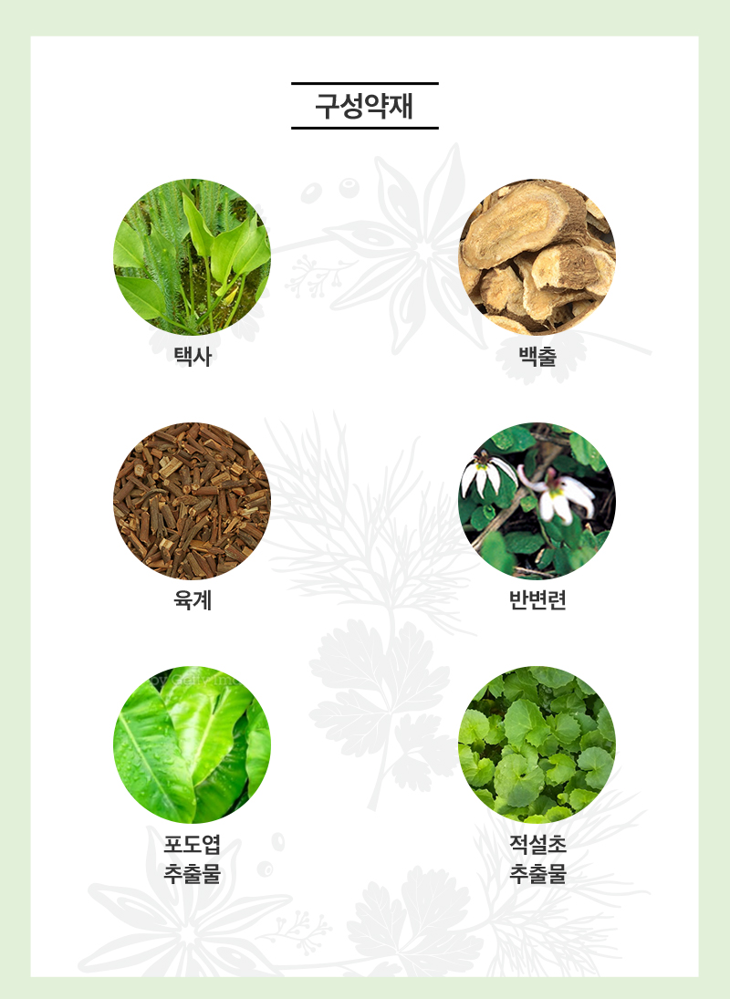진심안붓고 상세 이미지 1