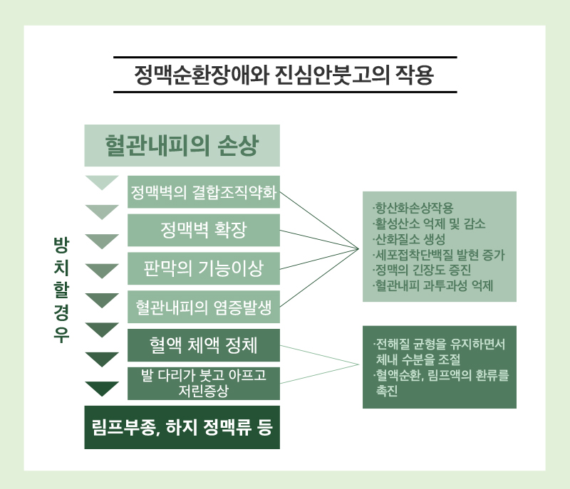진심안붓고 상세 이미지 2