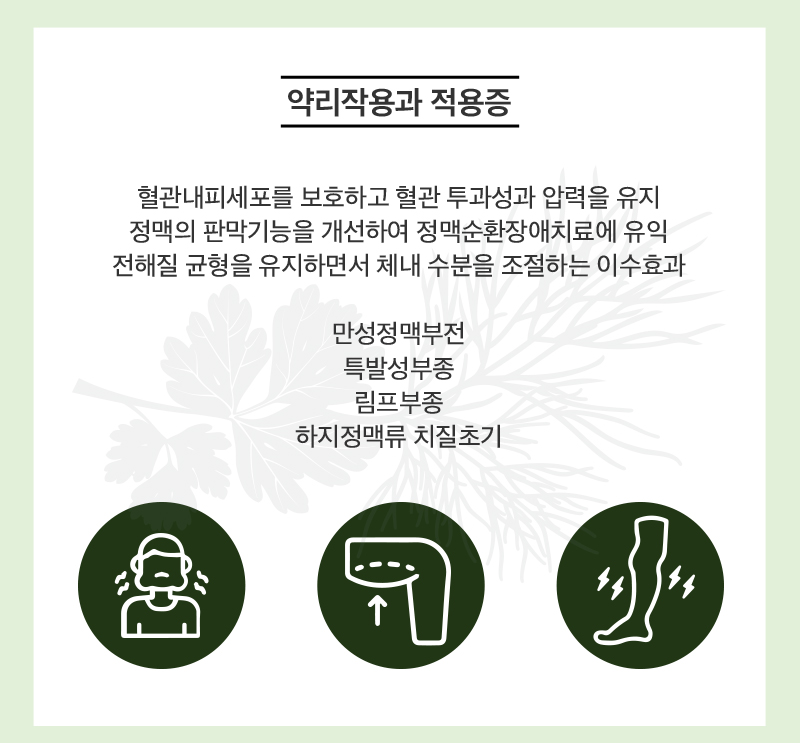 진심안붓고 상세 이미지 3