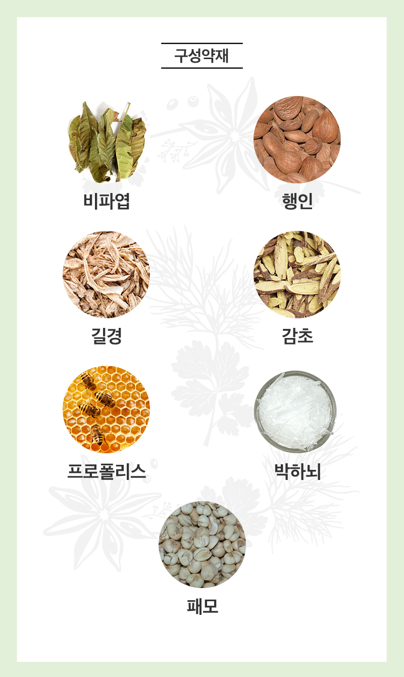 진심비파진해고 상세 이미지 1