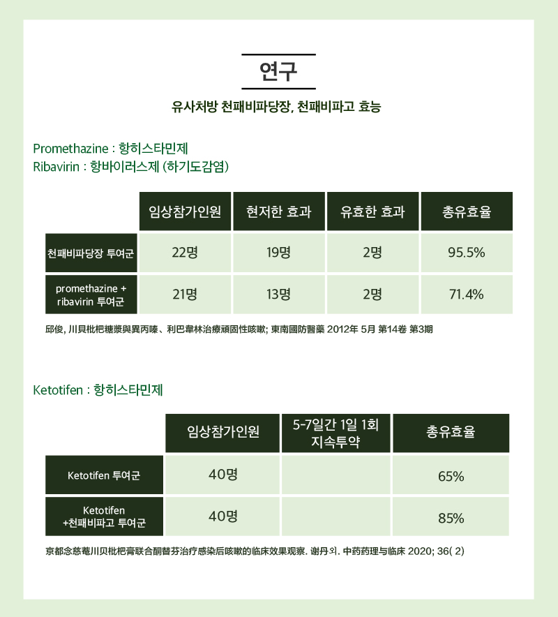 진심비파진해고 상세 이미지 3