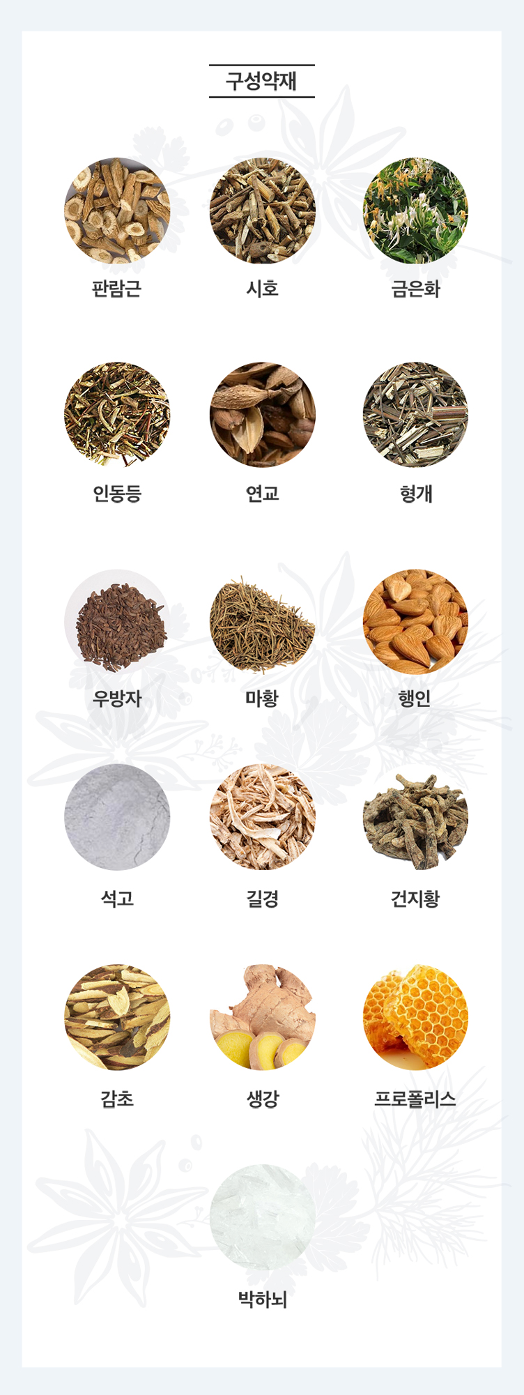 진심은교플러스 상세 이미지 1