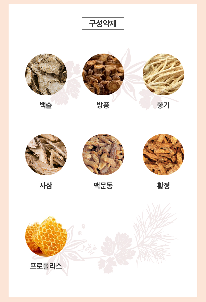 진심점막면역go 상세 이미지 1