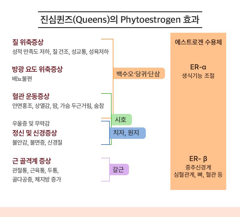 진심퀸즈 상세 이미지 2