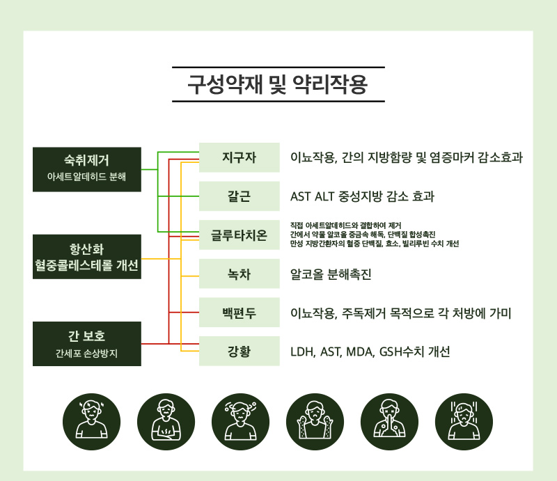 진심생간활력 상세 이미지 1