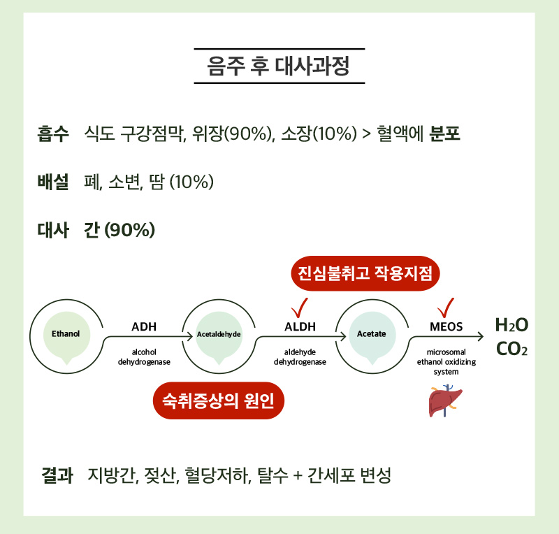 진심생간활력 상세 이미지 2