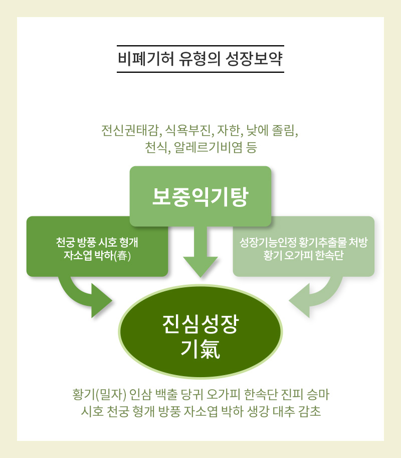 진심성장기氣 상세 이미지 2