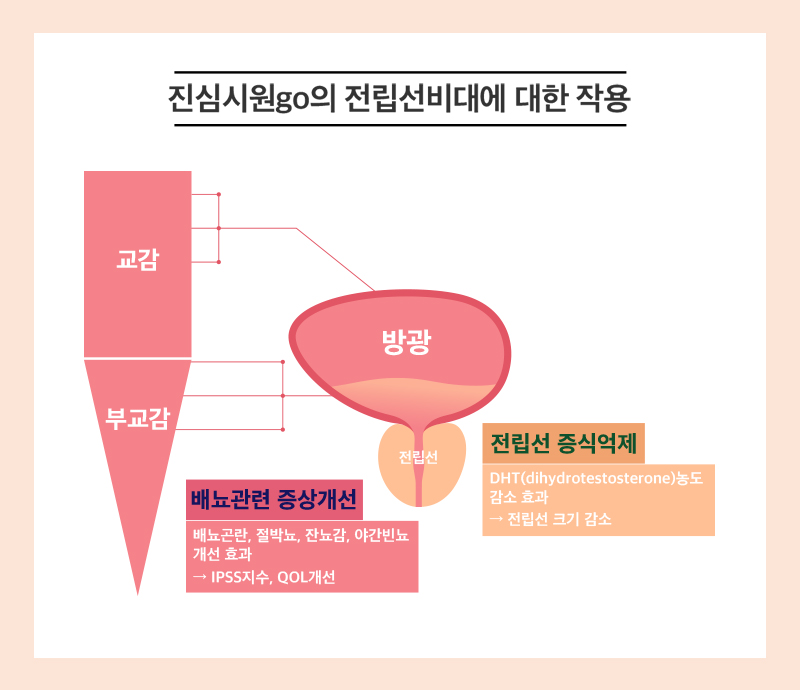 진심시원고 상세 이미지 2