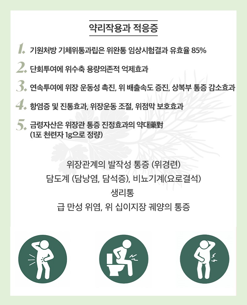 진심위통진정 상세 이미지 3