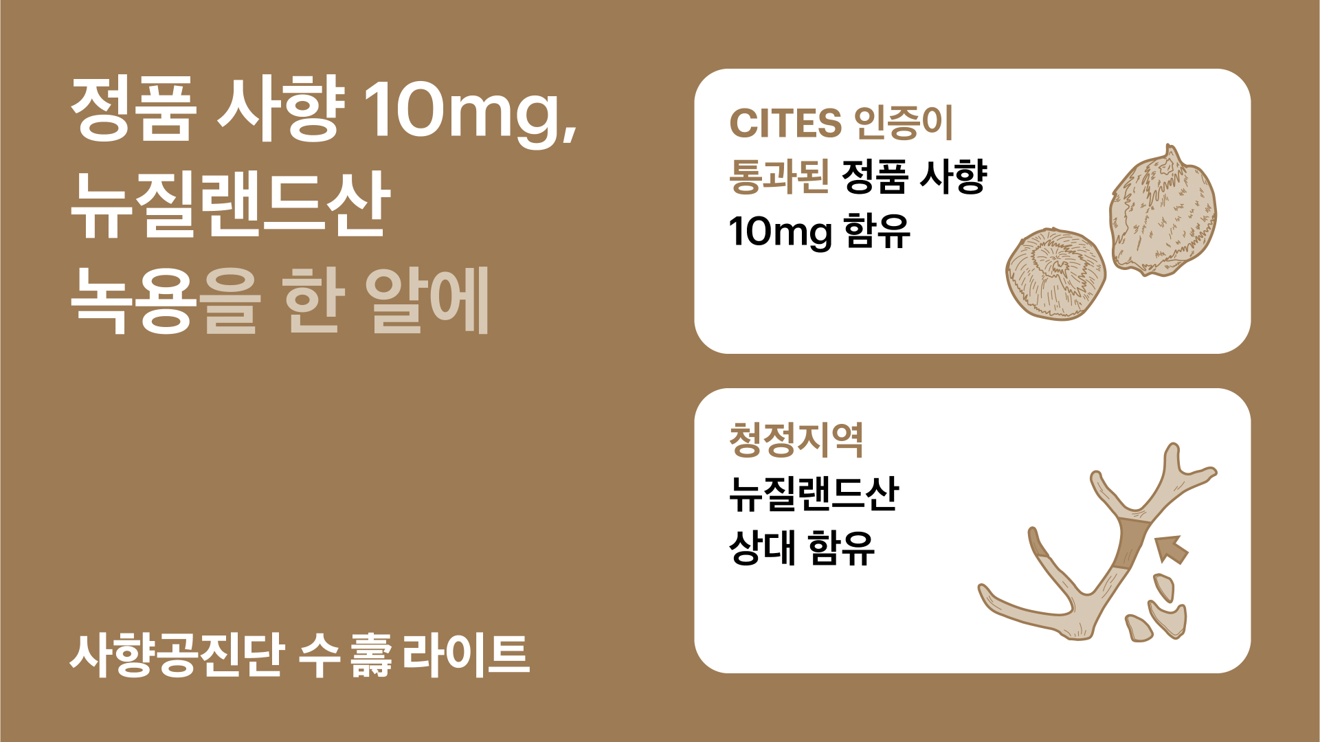 사향공진단 수(壽) 라이트 상세 이미지 2