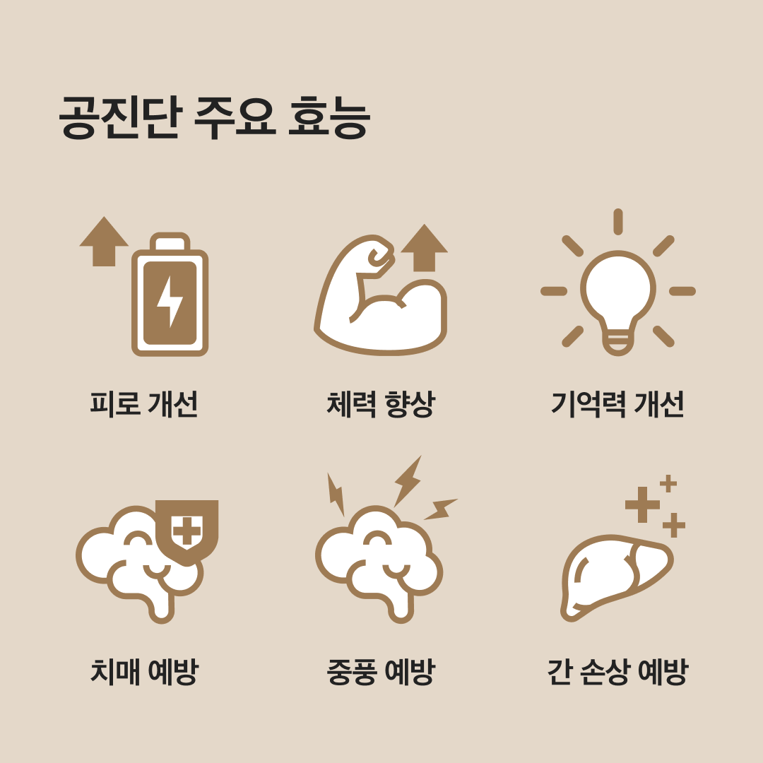 공진단 주요 효능 안내 이미지